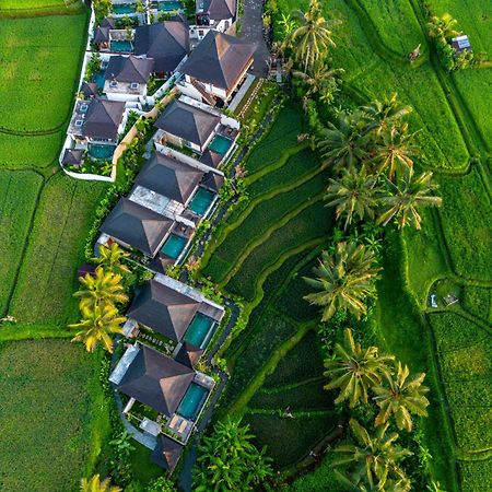Dewi Kunti Villa Tegallalang  Exterior photo