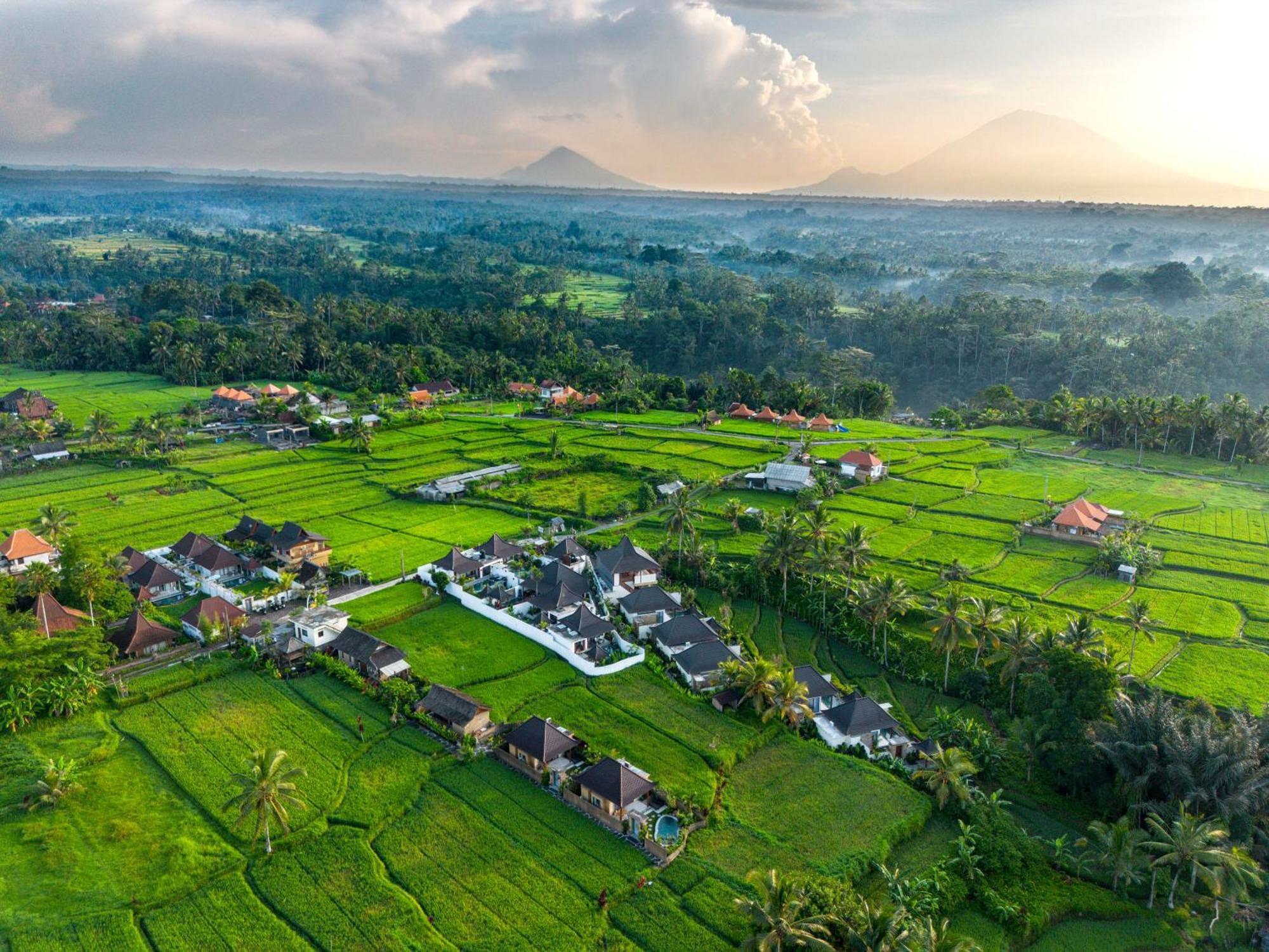 Dewi Kunti Villa Tegallalang  Exterior photo